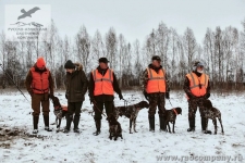 Охота на фазана в России